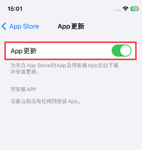 襄城苹果15维修中心如何让iPhone15APP自动更新